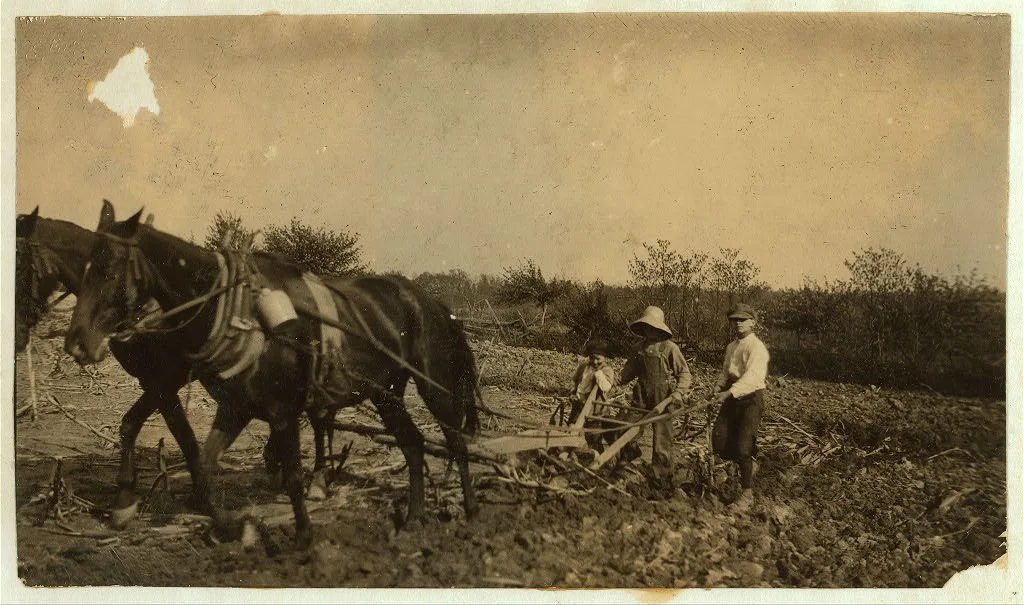 [Willie Nall, 11 years old; Raymond Jones, 10 years old; Denver…, Kentucky, 1916