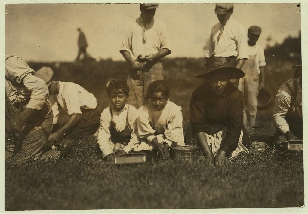 Lena Rose, 7 years old. Lives East Falmouth. Picks 6 to 9 measures a…, Massachusetts, 1911