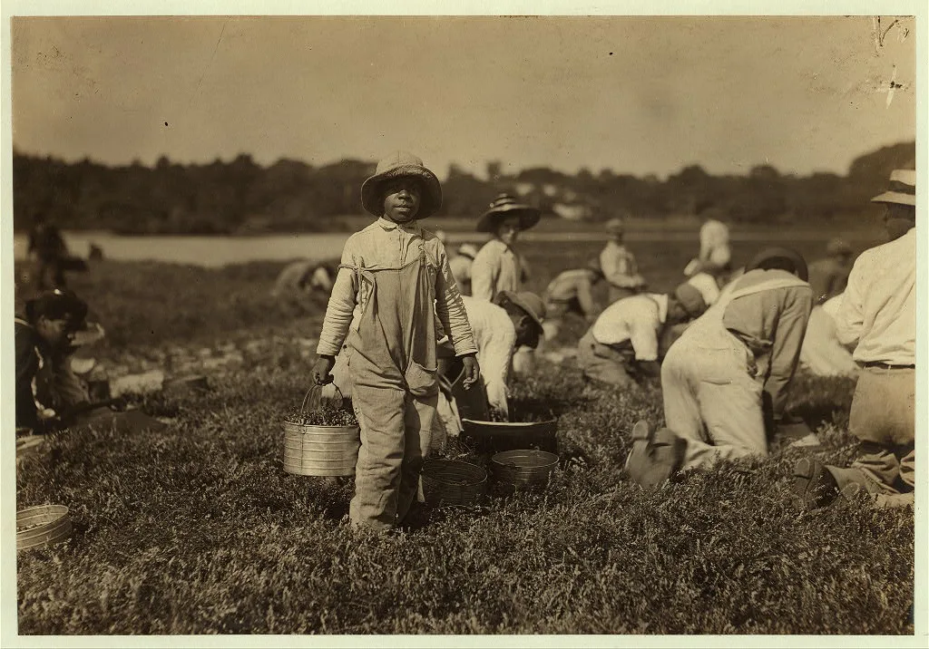 Joe carrying cranberries. Said 10 years old. Picks also. Location:…, Massachusetts, 1911