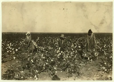 [Children of Mrs. Lawrence, a renter near Tinney, Okla. They go to…, Oklahoma, 1916