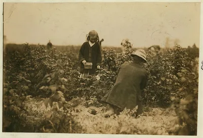 Bertha Brandt, 9 years old. Picks berries on a Rock Creek farm near…, Maryland, 1909