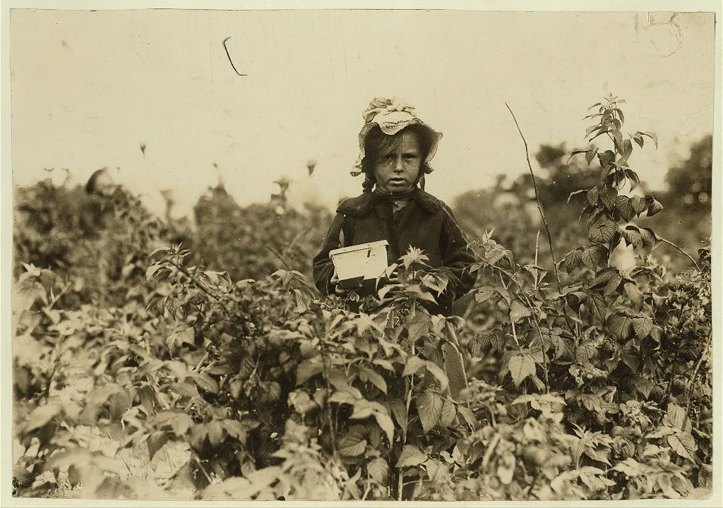 Annie Bissie, a little picker in the fields near B[alti]more. (See…, Maryland, 1909