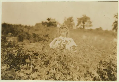 Laura, a nine-year-old berry picker on Rock Creek, near Baltimore,…, Maryland, 1909