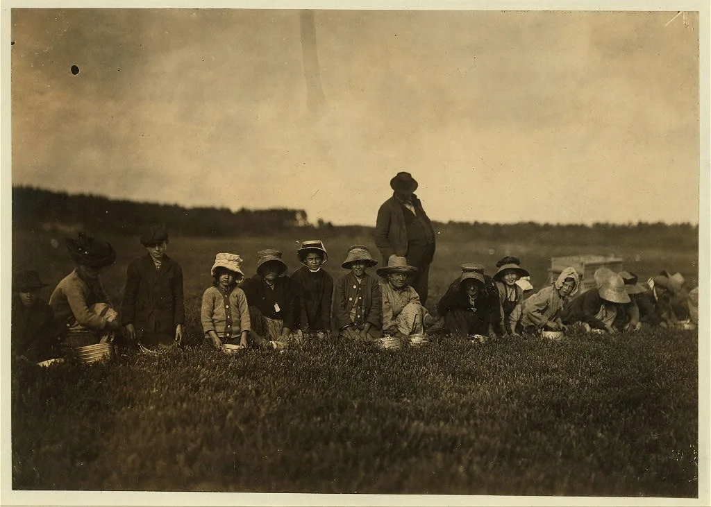 Group of workers on Smart's Bog.  Location: South Carver [vicinity],…, Massachusetts, 1911