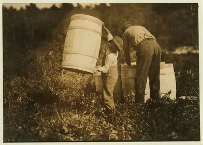 Boy who carries barrels. Robert Saunders, 10 years old. Lives Waquoit…, Massachusetts, 1911