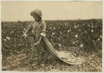 [6-year old Warren Frakes. Mother said he picked 41 pounds yesterday…, Oklahoma, 1916