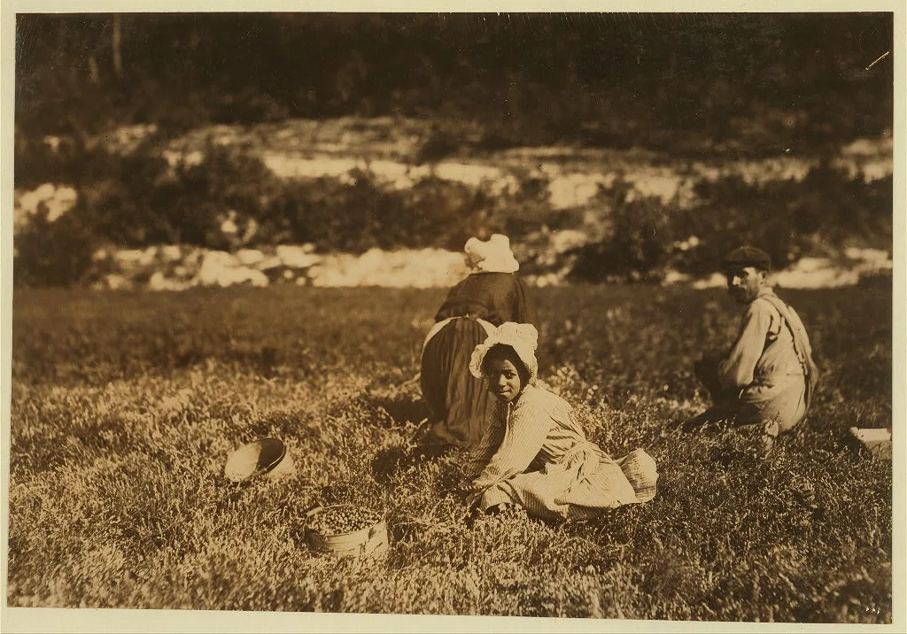 Mary Gomez, 10 years old. Lives Waquoit. Picked 19 pails one day,…, Massachusetts, 1911
