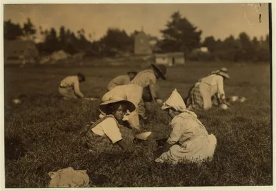 Celia Perry. A young picker living in Rochester, Mass. Rochester…, Massachusetts, 1911