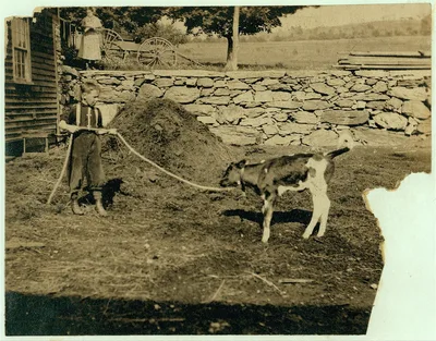 This is recreation for Jack. See Hine Report, Rural Child Labor,…, Massachusetts, 1915