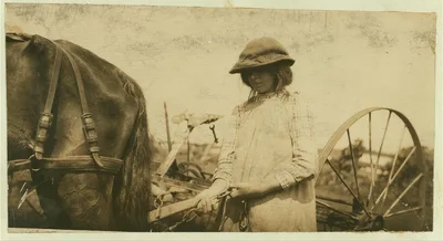 Lucy Saunders hitching the team to the horse rake. See Hine Report,…, Massachusetts, 1915