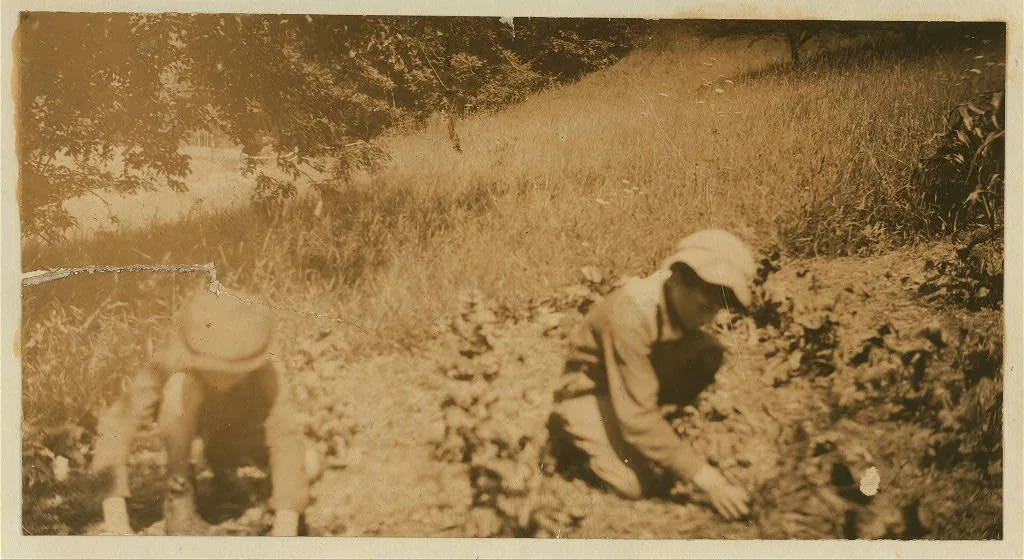 Rural Accident. Four weeks after the accident Clinton was using his…, 1915