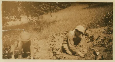 Rural Accident. Four weeks after the accident Clinton was using his…, 1915