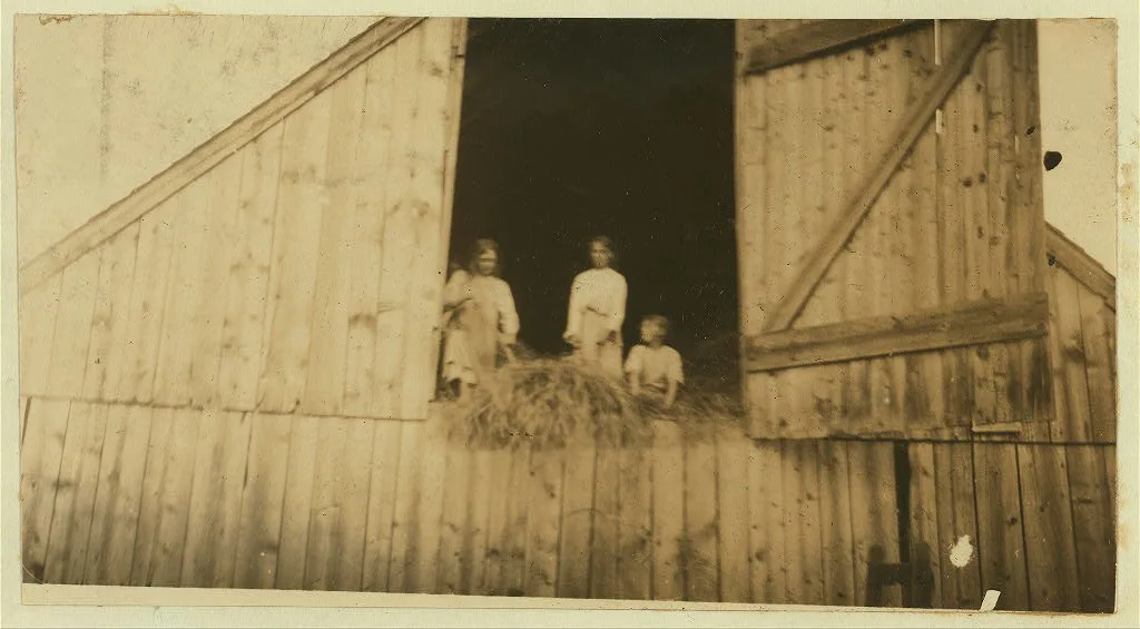 Three Saunders children, nine, eleven, and thirteen years old, mowing…, 1915