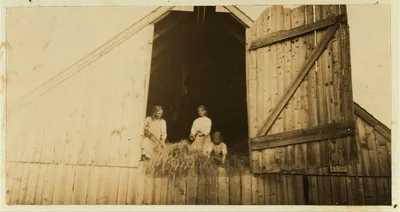 Three Saunders children, nine, eleven, and thirteen years old, mowing…, 1915