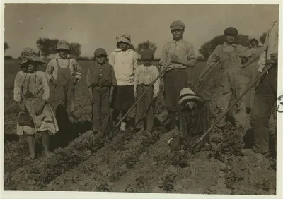 [Three adults and six children from seven years to twelve years hard…, Colorado, 1915
