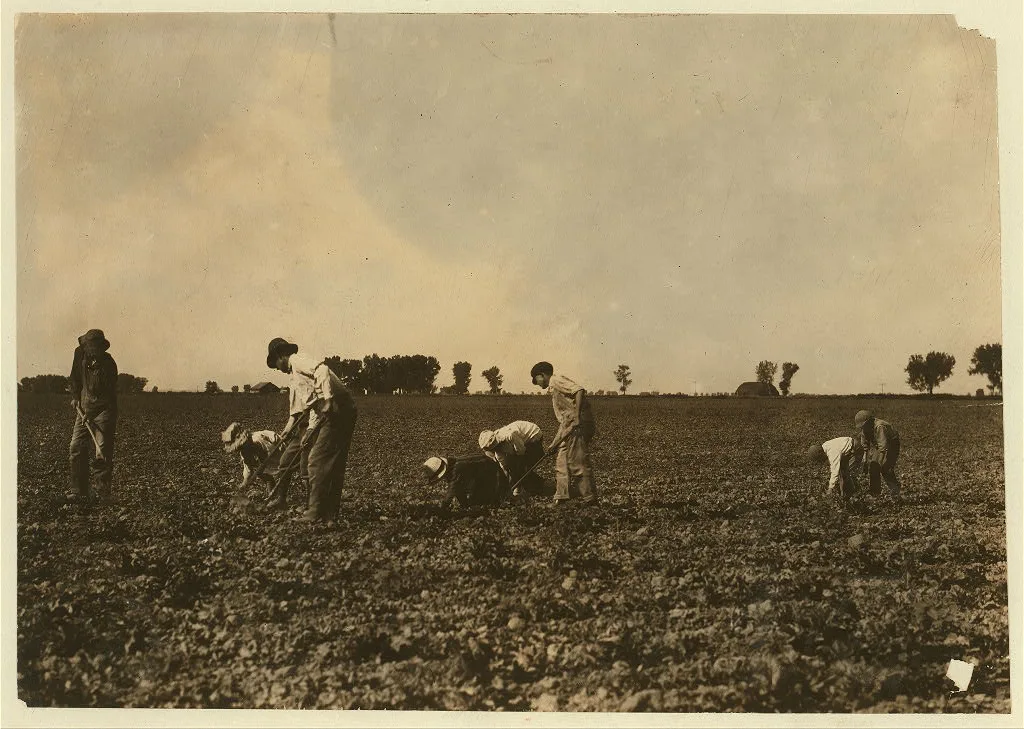 [Three adults and six children from seven years to twelve years hard…, Colorado, 1915