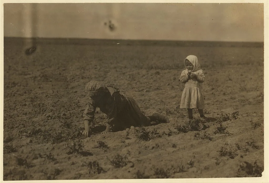 [Eleven-year old Elizabeth who has been working in the sugar beets…, Colorado, 1915
