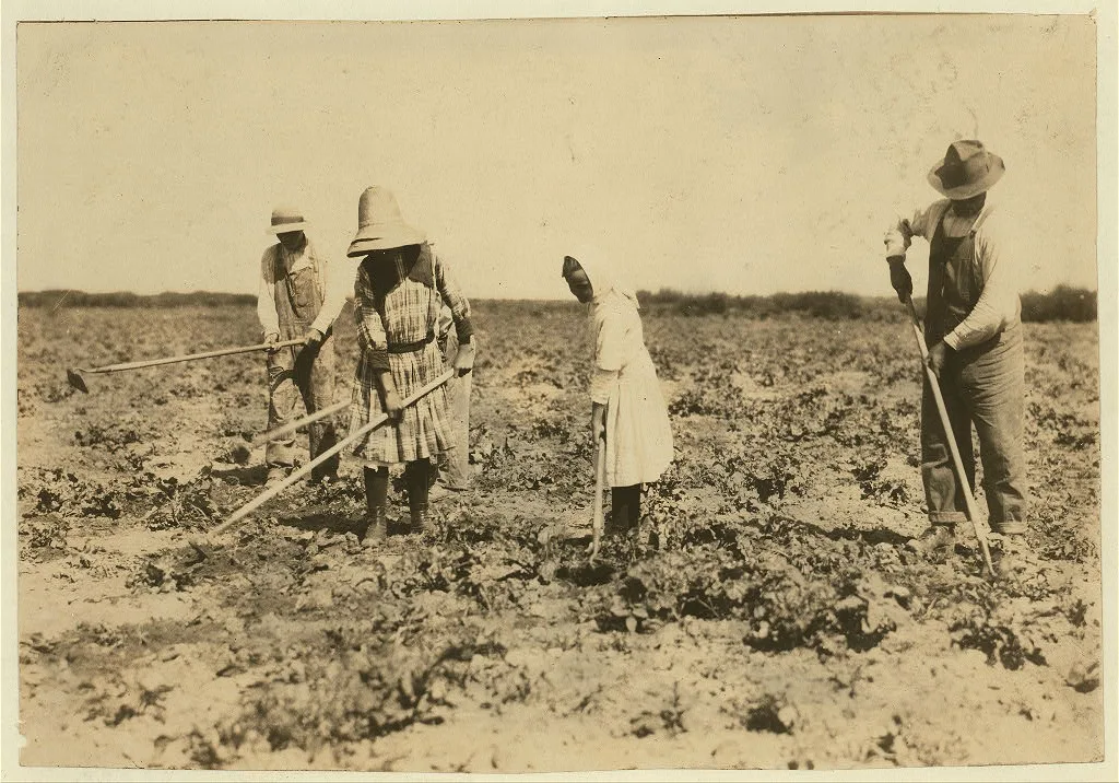 Beet workers, ten years, twelve years, fourteen years and eighteen…, Colorado, 1915