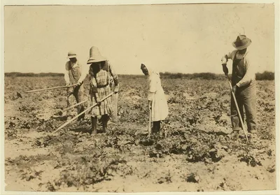 Beet workers, ten years, twelve years, fourteen years and eighteen…, Colorado, 1915