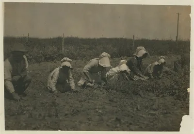 Sugar beet workers, Sugar City, Colorado. Mary, six years, Lucy,…, 1915