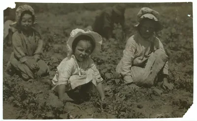 Photograph from Colorad: [Sugar beet workers, Sugar City, Colorado. Mary,…