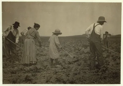 Families of Henry and John Miller: boy of eleven years, girl of…, Colorado, 1915