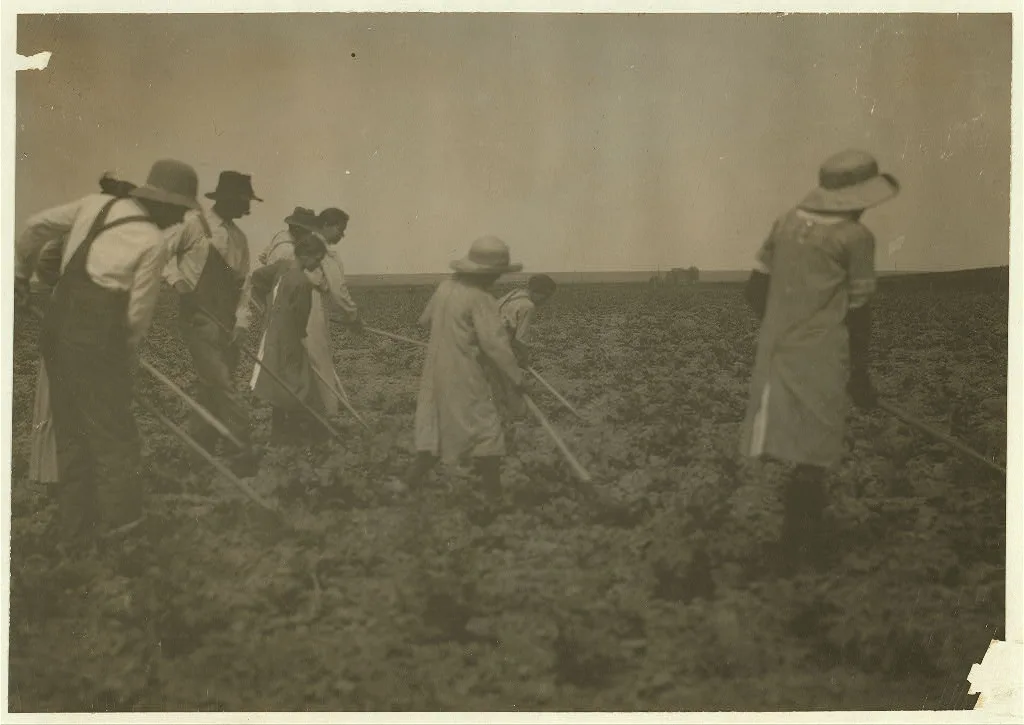 [Families of Henry and John Miller: boy of eleven years, girl of…, Colorado, 1915