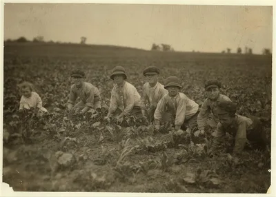 All these children were working in the sugar beets for Louis Startz,…, Wisconsin, 1915