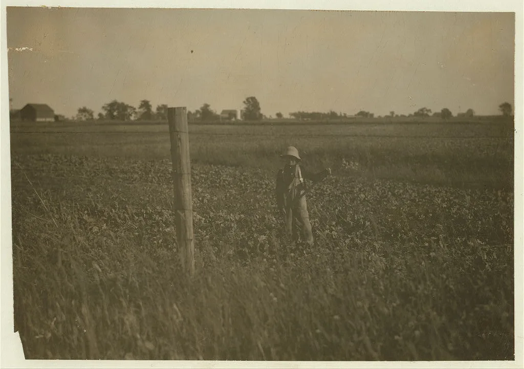Henry Kaiser, twelve-year old beet worker from Potter, Wisconsin,…, 1915