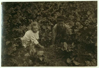 Six-year old Henry and three-year old Hilda, beet workers on a…, Wisconsin, 1915