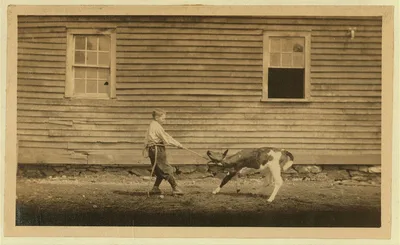 This is recreation for Jack. See Hine Report, Rural Child Labor,…, Massachusetts, 1915