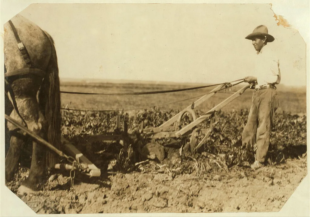 A Deere pulling machine, two horses. These merely loosen the soil,…, Colorado, 1915