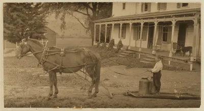 [Eight-year old Jack carrying cans of milk on stone boat. This…, Massachusetts, 1915