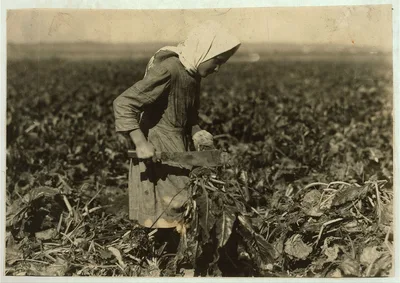 Eight-year-old girl (see label 4006). She is very skilful [sic]…, Colorado, 1915