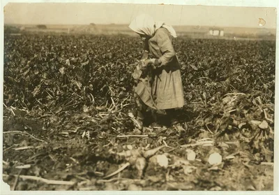 [Eight-year-old girl (see label 4006). She is very skilful [sic]…, Colorado, 1915