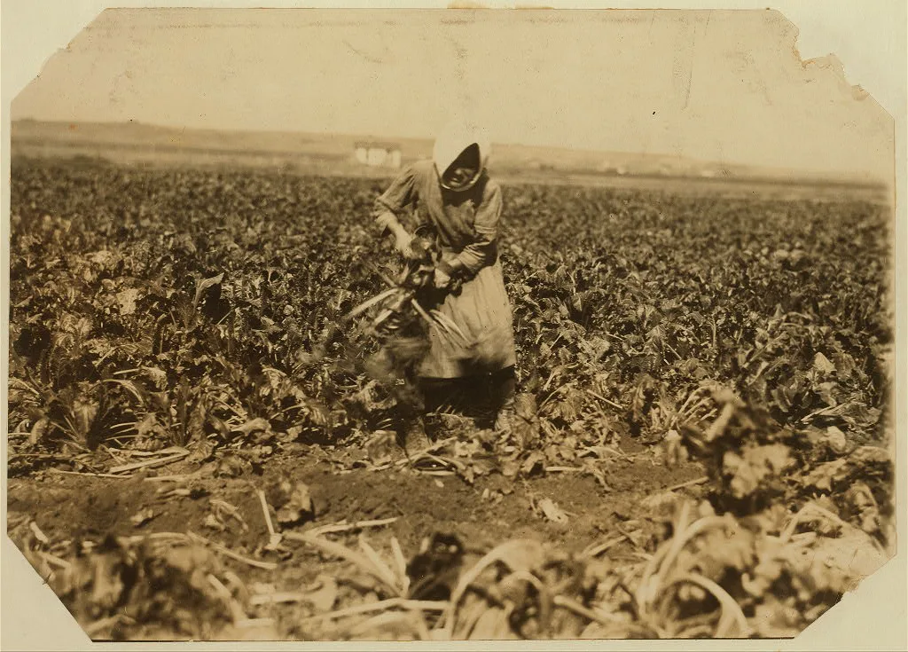 [Eight-year-old girl (see label 4006). She is very skilful [sic]…, Colorado, 1915