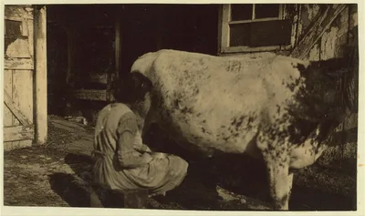 [Series showing the day's work of Estelle and Felix Humphrey. See…, Kentucky, 1916