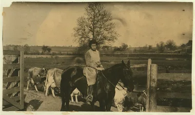 [Series showing the day's work of Estelle and Felix Humphrey. See…, Kentucky, 1916
