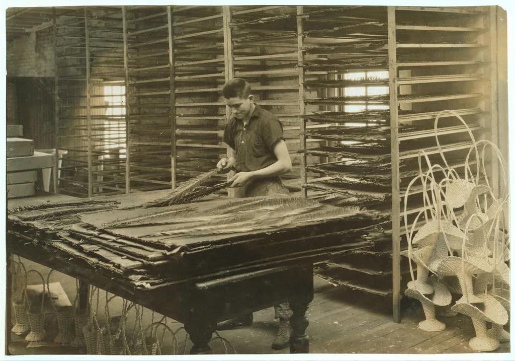 15-year old boy sorting cycas leaves, Boston Floral Supply Co.,…, Massachusetts, 1917