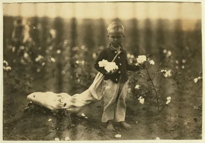 Fred Hill, 3 years old, sometimes picks 20 pounds of cotton a day.…, Oklahoma, 1916
