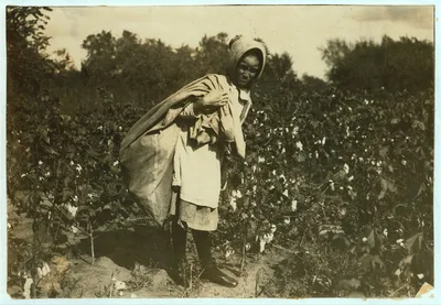 [Cleo Campbell, 9 years old, picks 75 to 100 pounds of cotton a day.…, Oklahoma, 1916