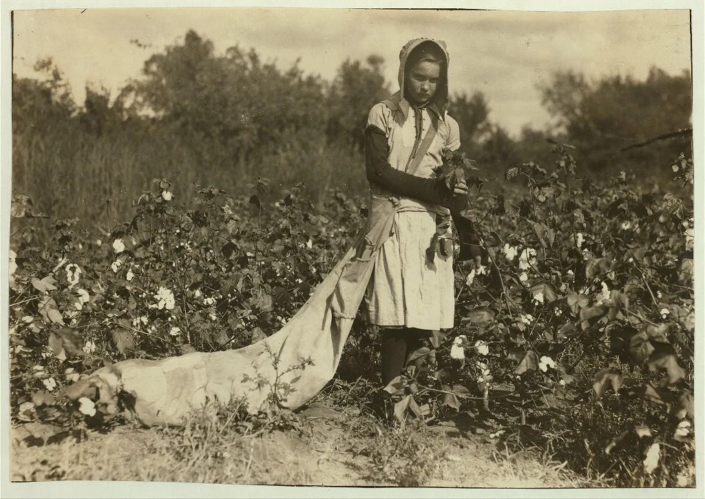 Callie Campbell, 11 years old, picks 75 to 125 pounds of cotton a…, Oklahoma, 1916