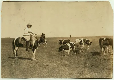 [Sarah Crutcher, 12-year-old girl herding cattle. Route 4, c/o S.O.…, Oklahoma, 1917