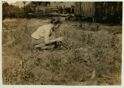 Tending the chicks. 16 year old girl. Home of William Olliges,…, Kentucky, 1916
