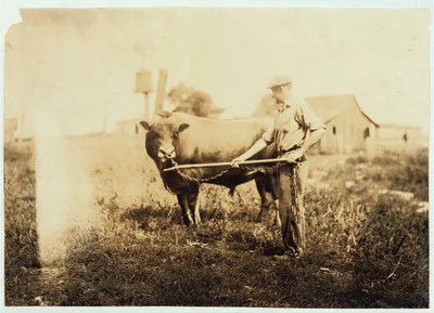 Dairyman.  Location: Kentucky, 1916