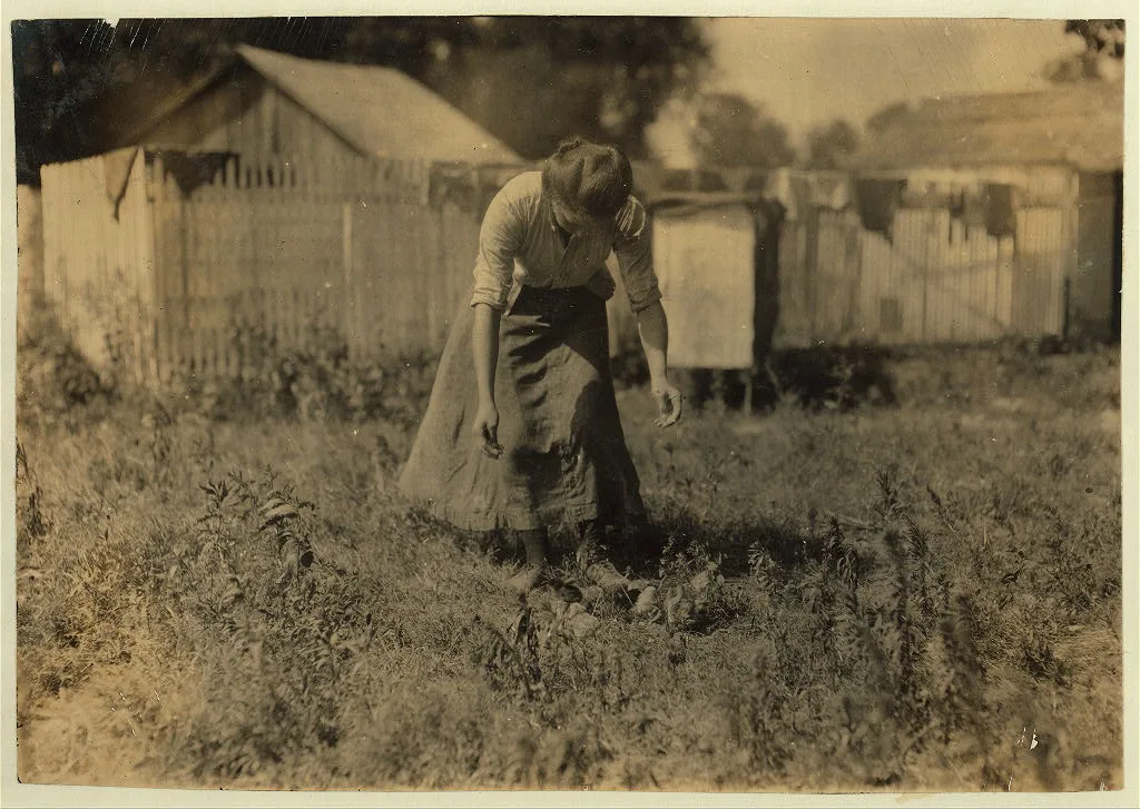 Tending the chicks--16-year old girl. Home of William Olliges. The…, Kentucky, 1916
