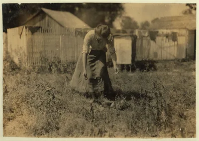 Tending the chicks--16-year old girl. Home of William Olliges. The…, Kentucky, 1916