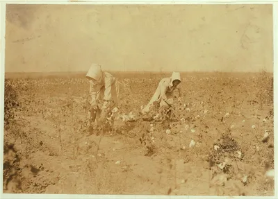 Edith, 11 years old and Blanche 13. Each picks about 100 pounds of…, Oklahoma, 1916