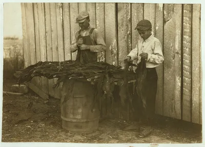 [c/o W.A. Daniel - Route 2 - Woodburn, Ky. Lester Daniel, [...] years…, Kentucky, 1916