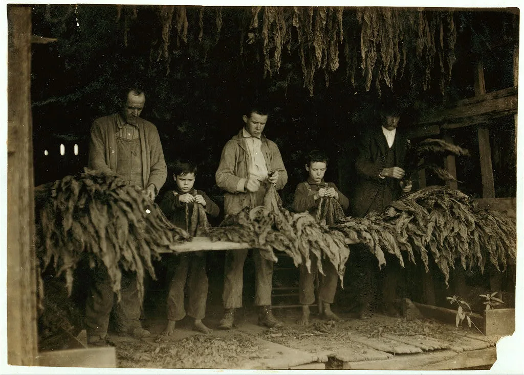[B.F. Howell, Route 4, Bowling Green, Ky. and part of his family…, Kentucky, 1916